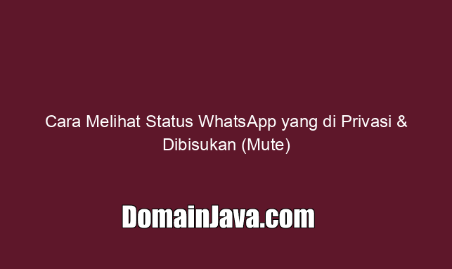 Cara Melihat Status WhatsApp yang di Privasi & Dibisukan (Mute)