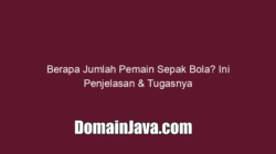 Berapa Jumlah Pemain Sepak Bola? Ini Penjelasan & Tugasnya