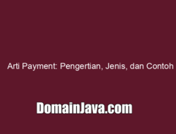 Arti Payment Apa? Pengertian, Jenis, dan Contohnya