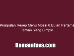 Kumpulan Resep Menu Mpasi 6 Bulan Pertama Terbaik Yang Simple