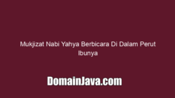 Mukjizat Nabi Yahya Berbicara Di Dalam Perut Ibunya