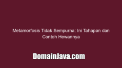Metamorfosis Tidak Sempurna: Ini Tahapan dan Contoh Hewannya