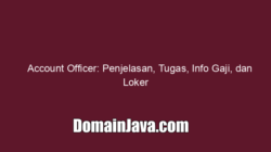 Account Officer: Penjelasan, Tugas, Info Gaji, dan Loker