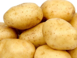 Bukan Sekadar Pengganti Nasi, 10 Manfaat dan Olahannya yang Bergizi