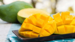 Manfaat Buah Mangga yang Luar Biasa untuk Kesehatan Tubuh
