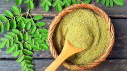 10 Manfaat Daun Kelor Untuk Kesehatan dan Kecantikan