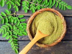 10 Manfaat Daun Kelor Untuk Kesehatan dan Kecantikan