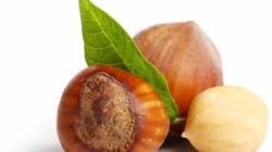 Apa Saja Makanan Penurun Kolestrol Paling Ampuh dan Aman