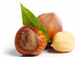 Apa Saja Makanan Penurun Kolestrol Paling Ampuh dan Aman