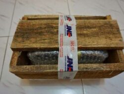 Cek Biaya Packing Kayu JNE dengan Cara Hitung dan Syaratnya