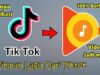 Download Sound TikTok Mp3 Unduh Lagu, Audio, dan Video Disini