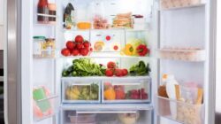 12 Merk Kulkas Terbaik, Hemat Listrik dan Awet (Worth to Buy)