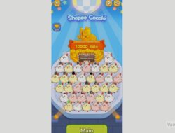 Game Shopee Cocoki Level 2 & Level 3 & Tips Mudah Menang!