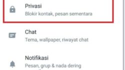 5 Cara WhatsApp Ceklis Satu tapi Online dan Sudah Dibaca