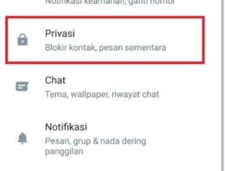 5 Cara WhatsApp Ceklis Satu tapi Online dan Sudah Dibaca