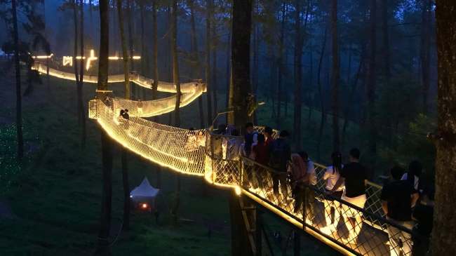 Bandung Treetop Adventure Park