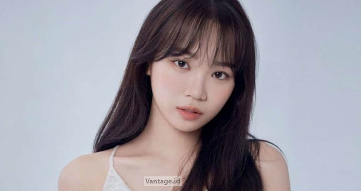 Cara-Nonton-Movie-Indonesia-Tanpa-VPN-Gratis-&-Mudah