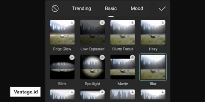 Jenis Fitur Blur Yang Ada Di Aplikasi CapCut Video Editor
