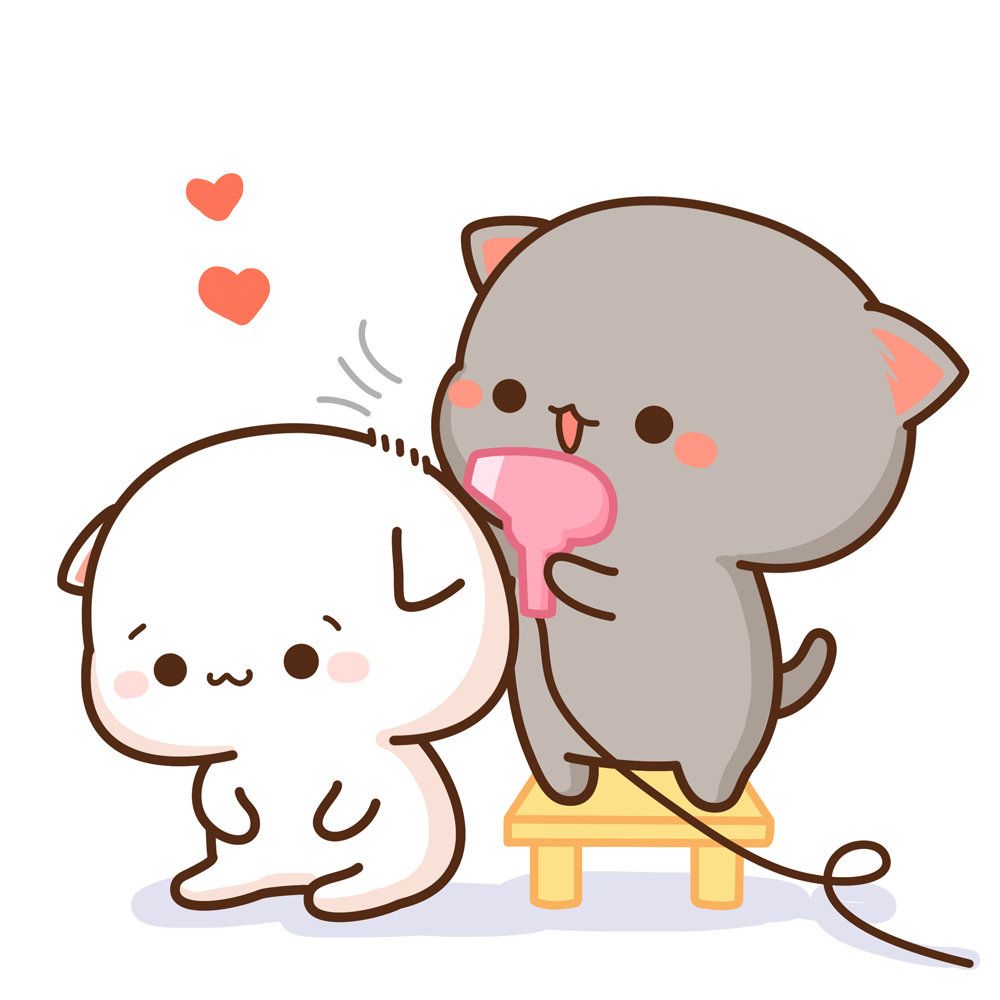 Momen imut mengeringkan rambut pasangan dengan penuh cinta menggunakan hairdryer