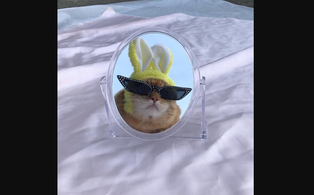 PP-WhatsApp-Estetik-Lucu