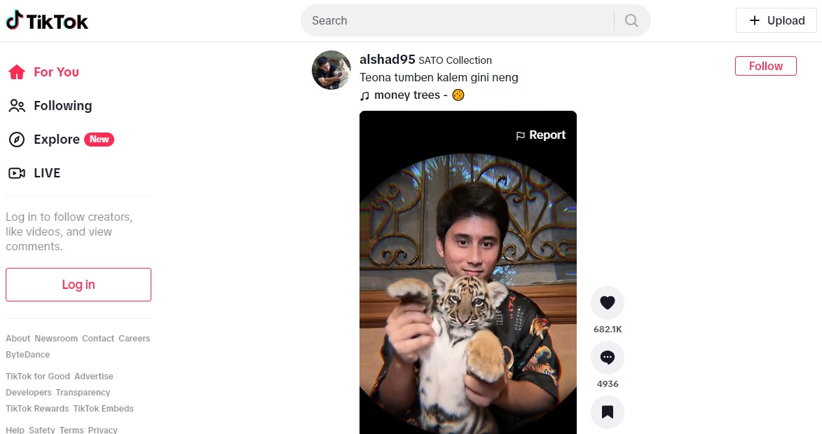 Tips-Dalam-Membuat-Nama-Tiktok-Aesthetic