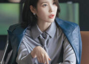 Drama Korea Perfect Crown