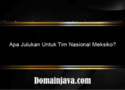 Apa Julukan Untuk Tim Nasional Meksiko?