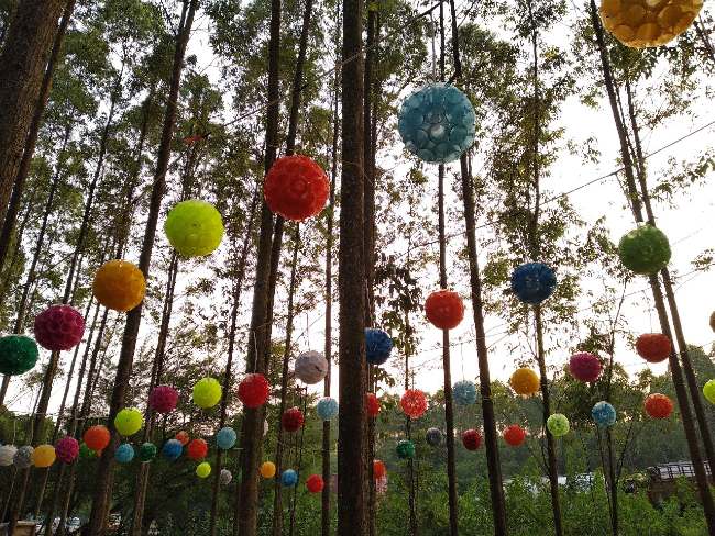 Daya Tarik Hutan Kertas Karawang