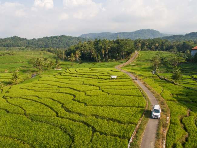 Desa Wisata Cikalahang