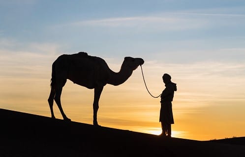 Doa Nabi Saleh Dalam Al-Qur'an