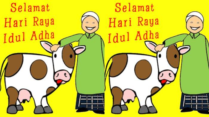 Kata Kata Selamat Hari Raya Idul Adha