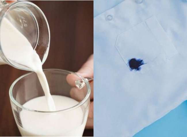 Manfaatkan Susu Berlemak