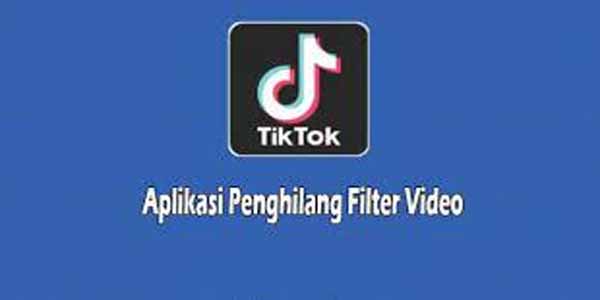 Rekomendasi Aplikasi Tambahan Untuk Menghapus Filter Tiktok Atau Efek TikTok
