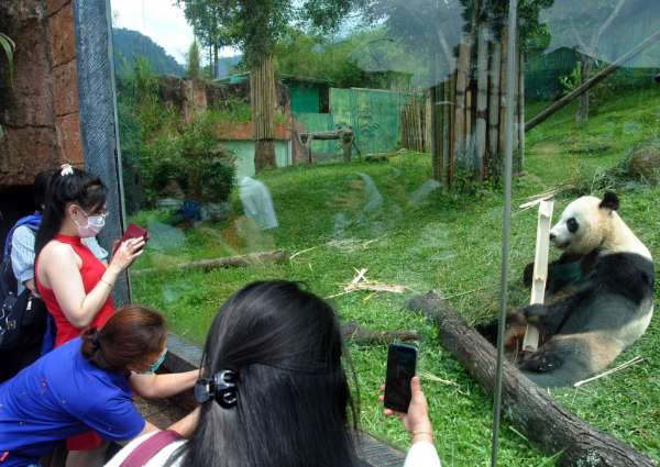 Wahana di Taman Safari Bogor