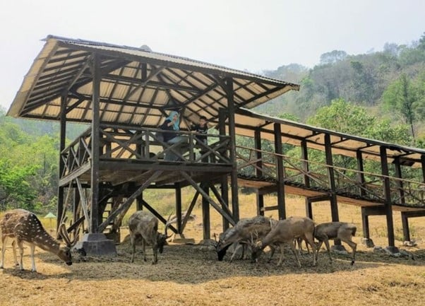 tempat penangkaran rusa