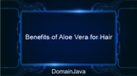 Benefits of Aloe Vera for Hair