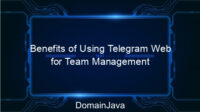 Benefits of Using Telegram Web for Team Management