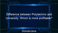 Difference between Polytechnic and University: Which is more profitable?