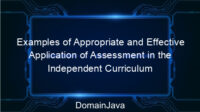 Examples of Appropriate and Effective Application of Assessment in the Independent Curriculum