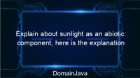 Explain about sunlight as an abiotic component, here is the explanation