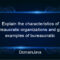 explain the characteristics of bureaucratic organizations and give examples of bureaucratic organizations in indonesia? read more