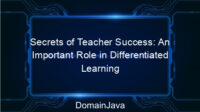 Secrets of Teacher Success: An Important Role in Differentiated Learning