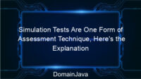 Simulation Tests Are One Form of Assessment Technique, Here’s the Explanation