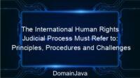 The International Human Rights Judicial Process Must Refer to: Principles, Procedures and Challenges