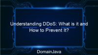 Understanding DDoS: What is it and How to Prevent It?