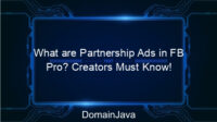 What are Partnership Ads in FB Pro? Creators Must Know!