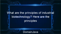 What are the principles of industrial biotechnology? Here are the principles