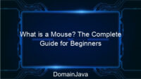 What is a Mouse? The Complete Guide for Beginners