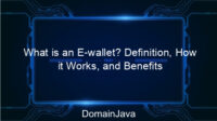 What is an E-wallet? Definition, How it Works, and Benefits