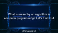 What is meant by an algorithm in computer programming? Let’s Find Out